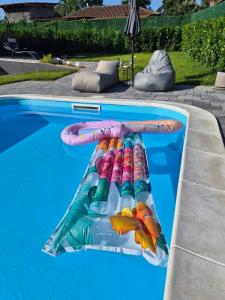 a swimming pool with a pool noodle in the middle at Nikis House Luxury Pool - Spa Villa in Ba°evac +67 photos