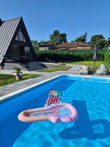 a inflatable snake in the middle of a swimming pool at Nikis House Luxury Pool - Spa Villa in Ba°evac