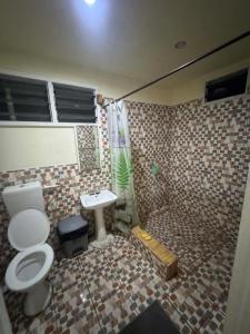 a bathroom with a toilet and a sink at Ezzy Air B&B in Salelologa