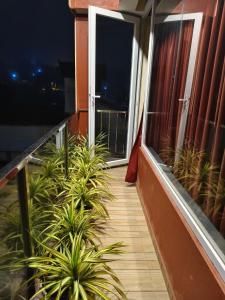 a balcony with plants on the side of a building at The single room for two in Madikeri