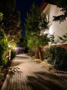 a cobblestone street at night with trees and a building at Pokoje na Brzozowej 2 in Białogóra +3 photos