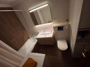 a small bathroom with a sink and a toilet at Mio Apartments Silver in Cluj-Napoca