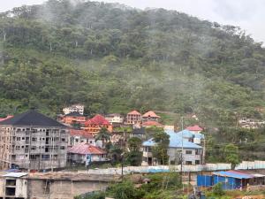 a town in front of a mountain with houses at Richcastle Hotel in Freetown