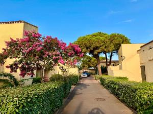 a street with pink flowers on trees and buildings at Résidence haut de gamme - 45m2 refait à neuf en mai 2026 avec très grande piscine chauffée in Cap d'Agde