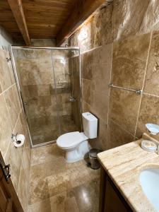 a bathroom with a shower and a toilet and a sink at Turquaz Cave Hotel in Göreme