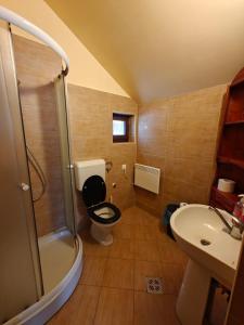 a small bathroom with a toilet and a sink at Gyulak Guesthouse in Izvoare +31 photos