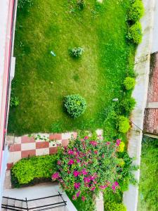 an overhead view of a garden with pink flowers at Kaushalya River View in Solan
