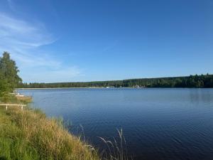 a large body of water with trees in the background at ErzNest in Thum