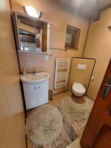 a bathroom with a sink and a toilet and a rug at Apartmán Bianka in Rabča