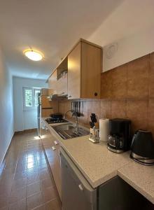 a kitchen with a sink and a counter top at Apartman Batelan in Brseč