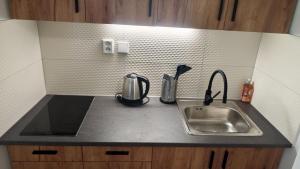 a kitchen counter with a sink and a mixer at Apartmán pro 2 osoby, Bukovany B3 in Sokolov +6 photos