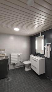 a bathroom with a toilet and a sink at Ketunpesä Puijolla in Kuopio +22 photos