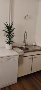 a kitchen with a sink and a potted plant at FeWo Sartorius am Hemsberg in Bensheim +42 photos