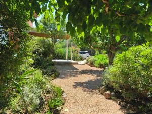 a garden with a pathway with trees and plants at Greenfield House in Psevdhas
