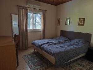 a bedroom with a bed and a window at Greenfield House in Psevdhas
