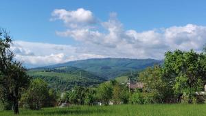 a field with trees and mountains in the background at Eden House Șelari in Şelari