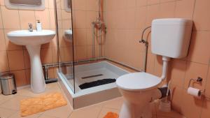 a bathroom with a shower and a toilet and a sink at Eden House Șelari in Şelari