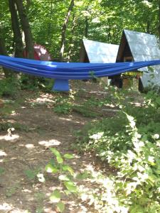 a blue slide in the middle of a park at Cabin Hill Station Queen in Sarajevo +3 photos