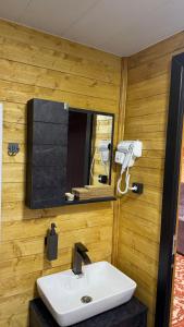 a bathroom with a sink and a mirror at Lunara Chalet in Kazbegi