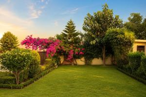 a garden with pink flowers and bushes at Ramashray - Mud House Living in Haldwāni