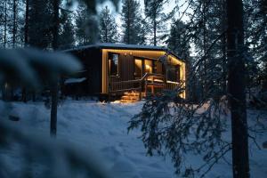 a cabin in the woods in the snow at Compact Cabin for Remote Work and Adventures in Yllas in Kolari