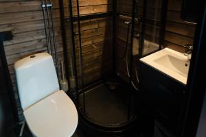a bathroom with a toilet and a sink at Compact Cabin for Remote Work and Adventures in Yllas in Kolari