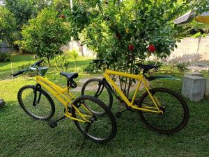 two yellow bikes parked next to a tree at Eco Nature Mulia Private villa in Harumalgoda West