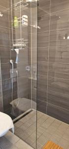 a shower with a glass door in a bathroom at Chambre Zen Et Calme in Bouveret