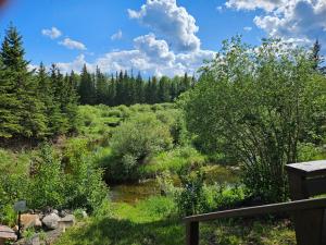 a river in a field with trees in the background at Hidden Creek Cabin in Beaverlodge