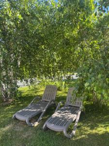 two chairs sitting in the grass under a tree at Hawira in Mielno