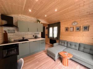 a living room with a couch and a table at Ubytovanie Lišov 3 - Tiny House in Lišov