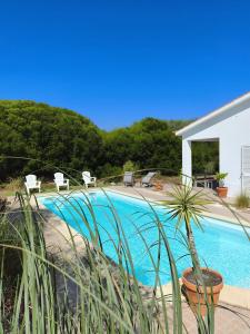 a swimming pool with a potted plant next to a house at Endless Summer Surf House in Aljezur