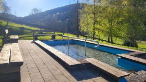 a plunge pool in a park with wooden benches at Ferienwohnung Krähling in Schmallenberg