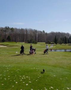 a group of people playing golf in a field at S Golf Apartament in Gowinko