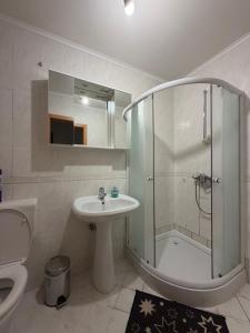 a bathroom with a shower and a sink and a toilet at Hiša Mila in Bovec