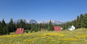 a field of flowers with houses and mountains in the background at Vila Vida in Žabljak
