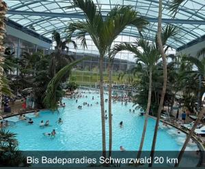 a group of people in a swimming pool with palm trees at Appartment im Schwarzwald in Furtwangen