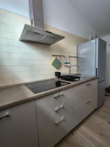 a kitchen with a sink and a refrigerator at Agriturismo L'Olivastro in Pollutri