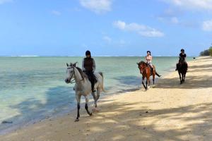 a group of people riding horses on the beach at Villa Antema in Riambel