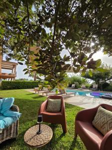 a yard with chairs and a table and a pool at sci marie dominique in Olmeto