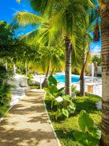 a pathway with palm trees and a swimming pool at Cocoon Signature in Flic-en-Flac
