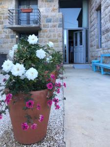 a large pot of flowers in front of a building at Dar el Maasser دار المعاصر in Maasser El Chouf