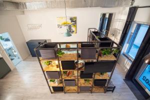 a shelf filled with plants in a room at Industrial Apartment ZERO in Bratislava +9 photos