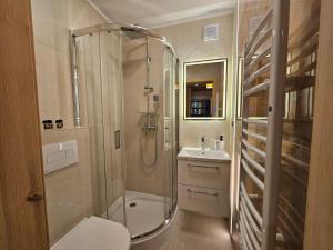 a bathroom with a shower and a toilet and a sink at Gościniec Karpacka Dusza in Szczawnica