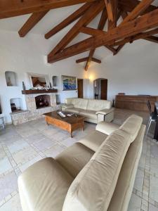a large living room with couches and a fireplace at sci marie dominique in Olmeto