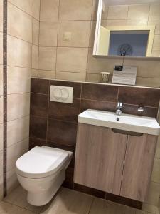 a bathroom with a toilet and a sink and a mirror at Apartma Ajda 2 , Jezerska cesta 65, Kranj in Kranj