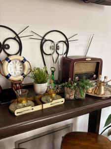 a table with a radio and plants on it at L&K Old Town Apartment in Podgorica
