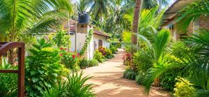 a pathway leading to a house with tropical plants at FS Hotel & villa in Arugam Bay