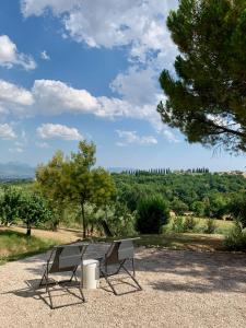 a picnic table and a bench sitting on top of a field at Residenza Marrone in Montefalco
