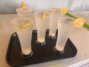 a tray with four glasses of lemonade and orange slices at Nature's Nook in Ganeshgudi